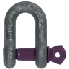 Dee Shackle · Screw Pin · 0.5 Tonne